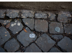 Chewing gum, terracotta, installation view