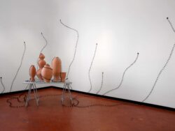 Bagarre | Studio Sales - Davide Monaldi